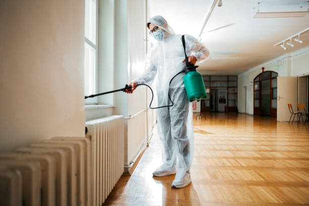 Professional Pest control in Fort Polk North, LA